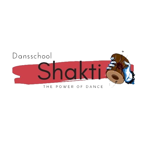 dansschoolshakti.com